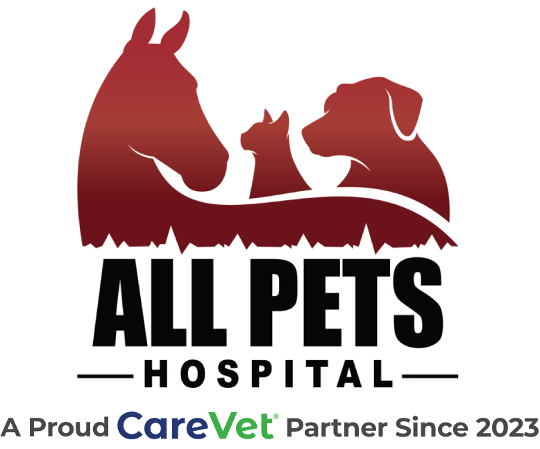All Pets Hospital Logo